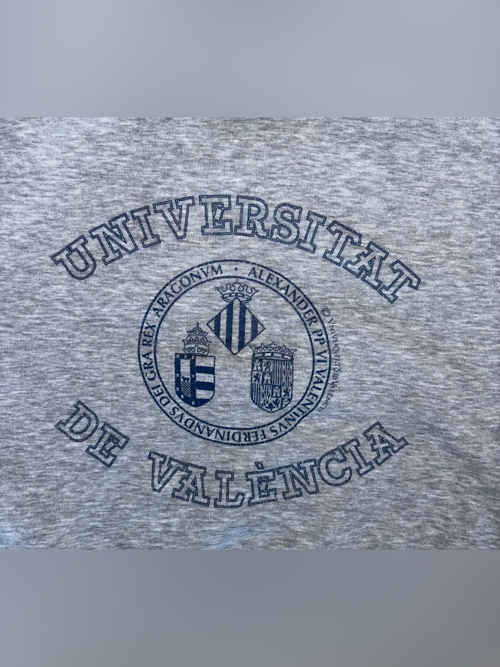 University of València Grey Graphic Crewneck Sweatshirt